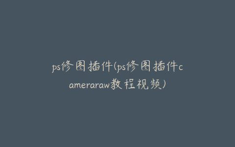 ps修图插件(ps修图插件cameraraw教程视频)
