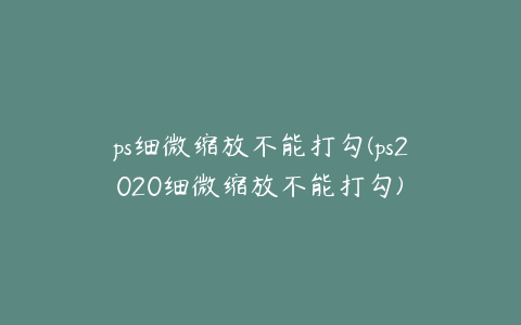 ps细微缩放不能打勾(ps2020细微缩放不能打勾)