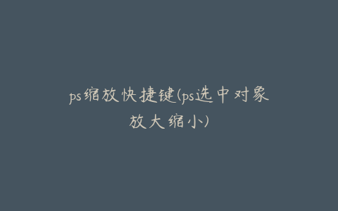 ps缩放快捷键(ps选中对象放大缩小)
