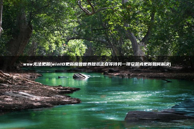 wow无法更新(win10更新魔兽世界提示正在等待另一项安装或更新如何解决) wow无法更新(win10更新魔兽世界提示正在等待另一项安装或更新如何解决)