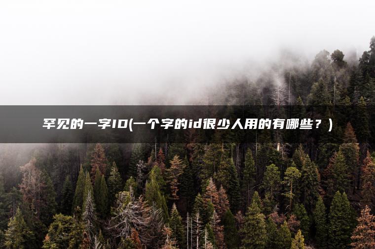 罕见的一字ID(一个字的id很少人用的有哪些?) 罕见的一字ID(一个字的id很少人用的有哪些?)
