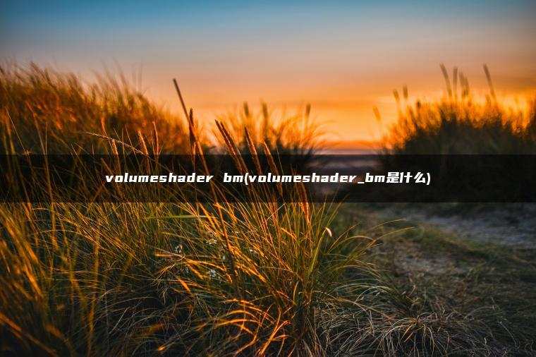 volumeshader bm(volumeshader_bm是什么) volumeshader bm(volumeshader_bm是什么)