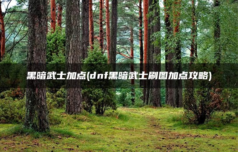 黑暗武士加点(dnf黑暗武士刷图加点攻略)