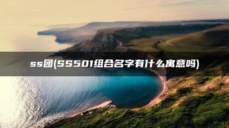 ss团(SS501组合名字有什么寓意吗) ss团(SS501组合名字有什么寓意吗)