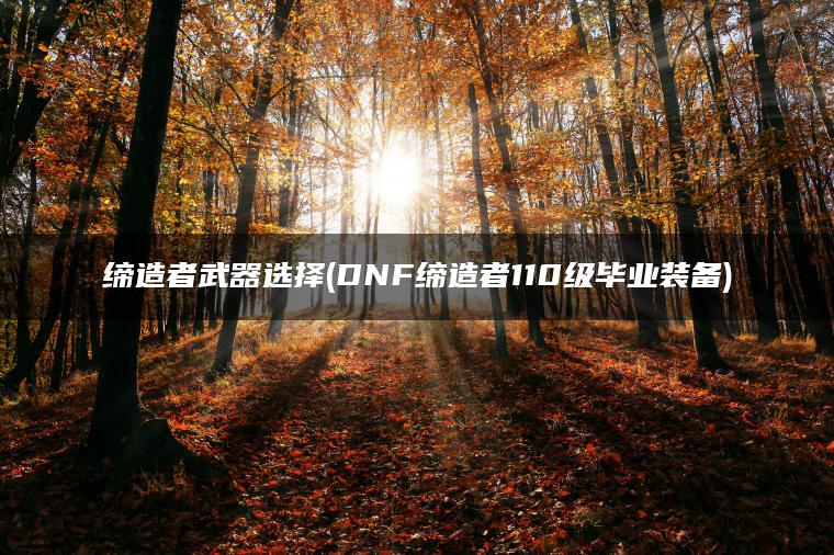 缔造者武器选择(DNF缔造者110级毕业装备) 缔造者武器选择(DNF缔造者110级毕业装备)