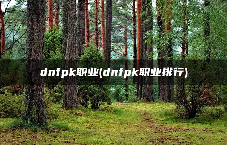 dnfpk职业(dnfpk职业排行) dnfpk职业(dnfpk职业排行)