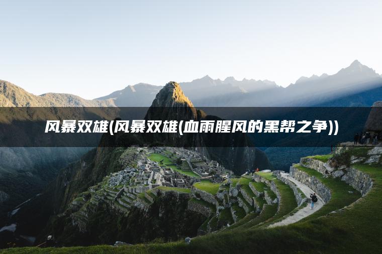 风暴双雄(风暴双雄(血雨腥风的黑帮之争)) 风暴双雄(风暴双雄(血雨腥风的黑帮之争))