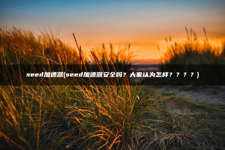 seed加速器(seed加速器安全吗?大家认为怎样????) seed加速器(seed加速器安全吗?大家认为怎样????)