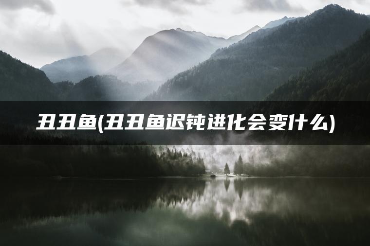 丑丑鱼(丑丑鱼迟钝进化会变什么) 丑丑鱼(丑丑鱼迟钝进化会变什么)