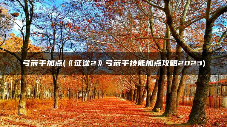 弓箭手加点(《征途2》弓箭手技能加点攻略2023) 弓箭手加点(《征途2》弓箭手技能加点攻略2023)