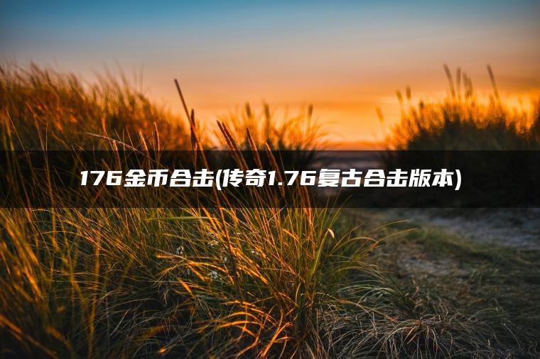 176金币合击(传奇1.76复古合击版本) 176金币合击(传奇1.76复古合击版本)