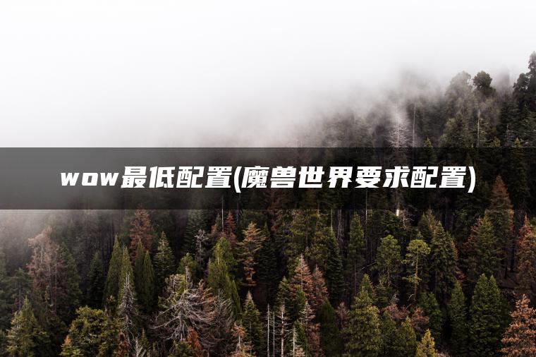 wow最低配置(魔兽世界要求配置) wow最低配置(魔兽世界要求配置)