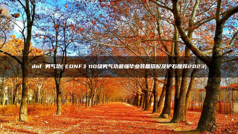 dnf 男气功(《DNF》110级男气功最强毕业装备搭配及护石推荐2023)