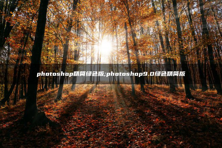 photoshop精简绿色版;photoshop9.0绿色精简版 photoshop精简绿色版;photoshop9.0绿色精简版