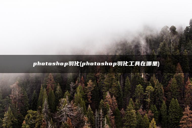 photoshop羽化(photoshop羽化工具在哪里) photoshop羽化(photoshop羽化工具在哪里)