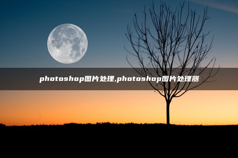 photoshop图片处理,photoshop图片处理器 photoshop图片处理,photoshop图片处理器