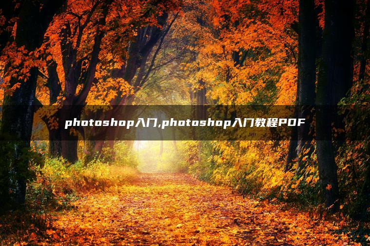 photoshop入门,photoshop入门教程PDF photoshop入门,photoshop入门教程PDF