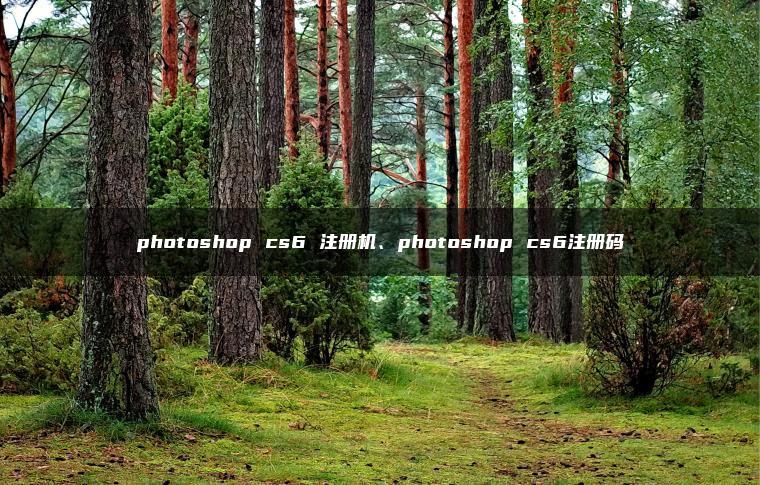 photoshop cs6 注册机、photoshop cs6注册码