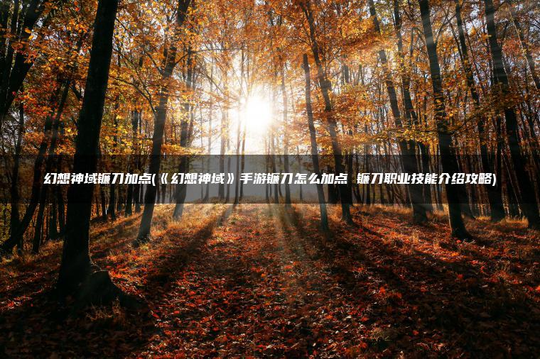 幻想神域镰刀加点(《幻想神域》手游镰刀怎么加点 镰刀职业技能介绍攻略)