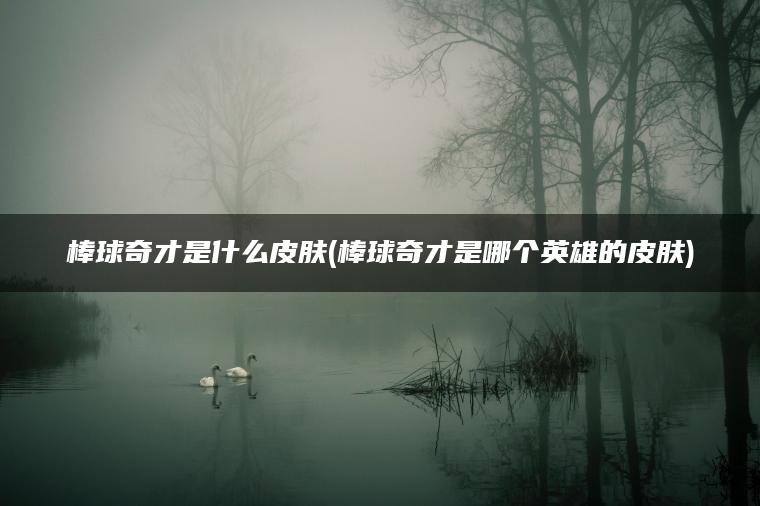 棒球奇才是什么皮肤(棒球奇才是哪个英雄的皮肤) 棒球奇才是什么皮肤(棒球奇才是哪个英雄的皮肤)