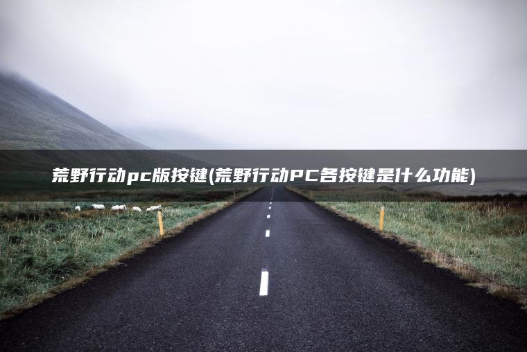 荒野行动pc版按键(荒野行动PC各按键是什么功能) 荒野行动pc版按键(荒野行动PC各按键是什么功能)