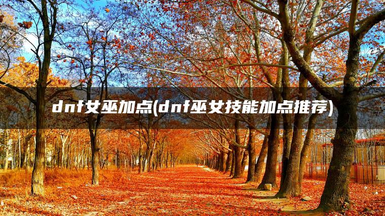 dnf女巫加点(dnf巫女技能加点推荐)