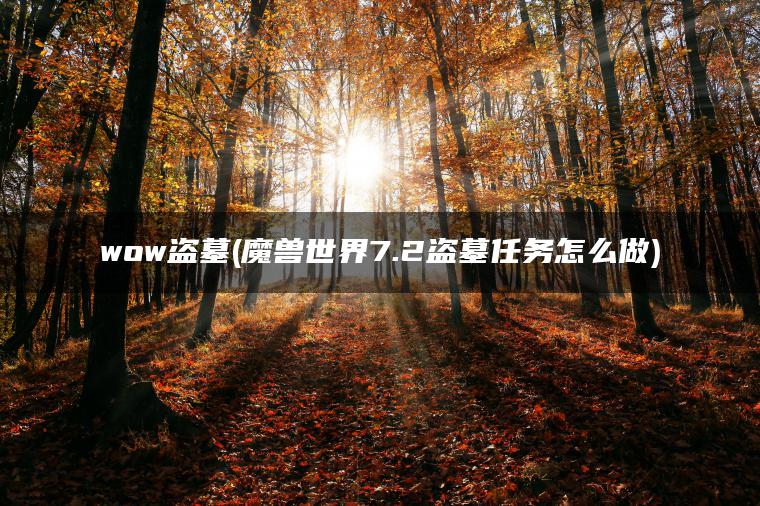 wow盗墓(魔兽世界7.2盗墓任务怎么做) wow盗墓(魔兽世界7.2盗墓任务怎么做)