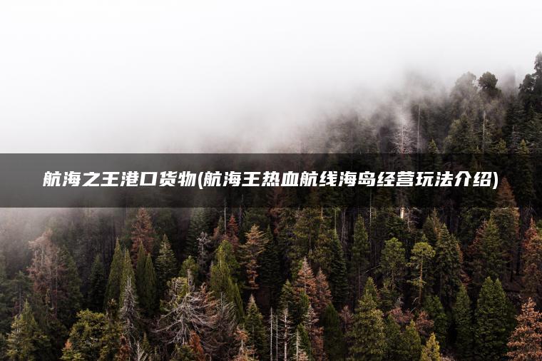 航海之王港口货物(航海王热血航线海岛经营玩法介绍)