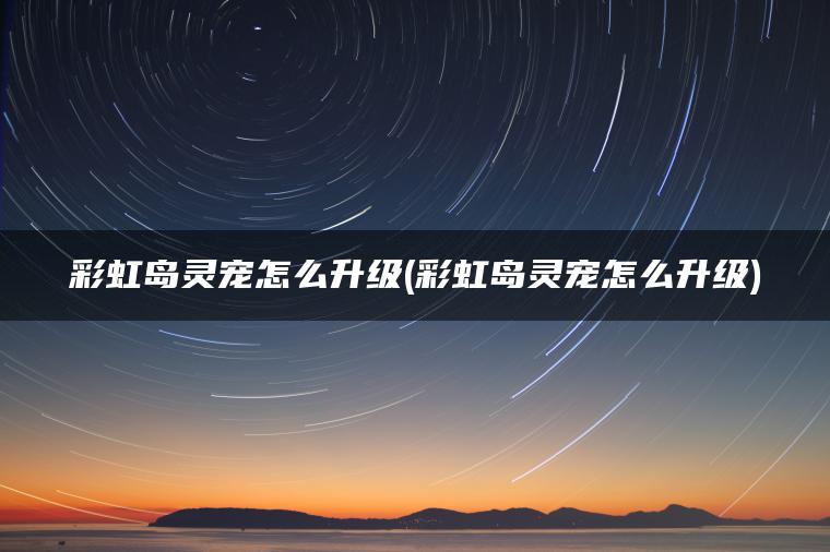 彩虹岛灵宠怎么升级(彩虹岛灵宠怎么升级) 彩虹岛灵宠怎么升级(彩虹岛灵宠怎么升级)