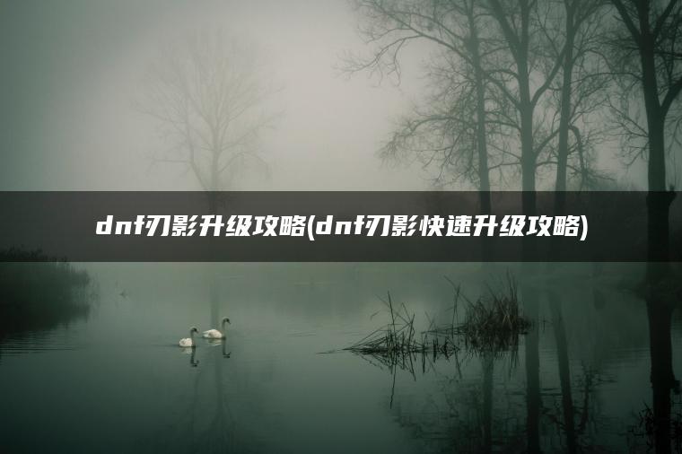 dnf刃影升级攻略(dnf刃影快速升级攻略)