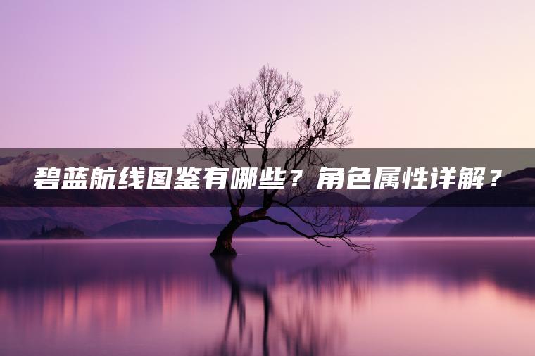 碧蓝航线图鉴有哪些？角色属性详解？