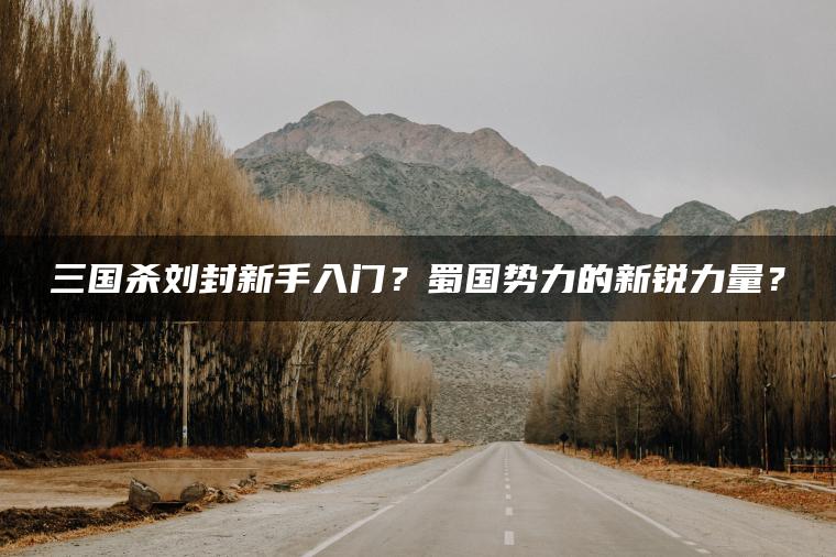 三国杀刘封新手入门？蜀国势力的新锐力量？