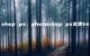photoshop ps、photoshop ps免费版下载