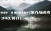 power snooker(强力斯诺克的简介)