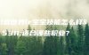 魔兽世界lr宝宝技能怎么样？适合哪些职业？